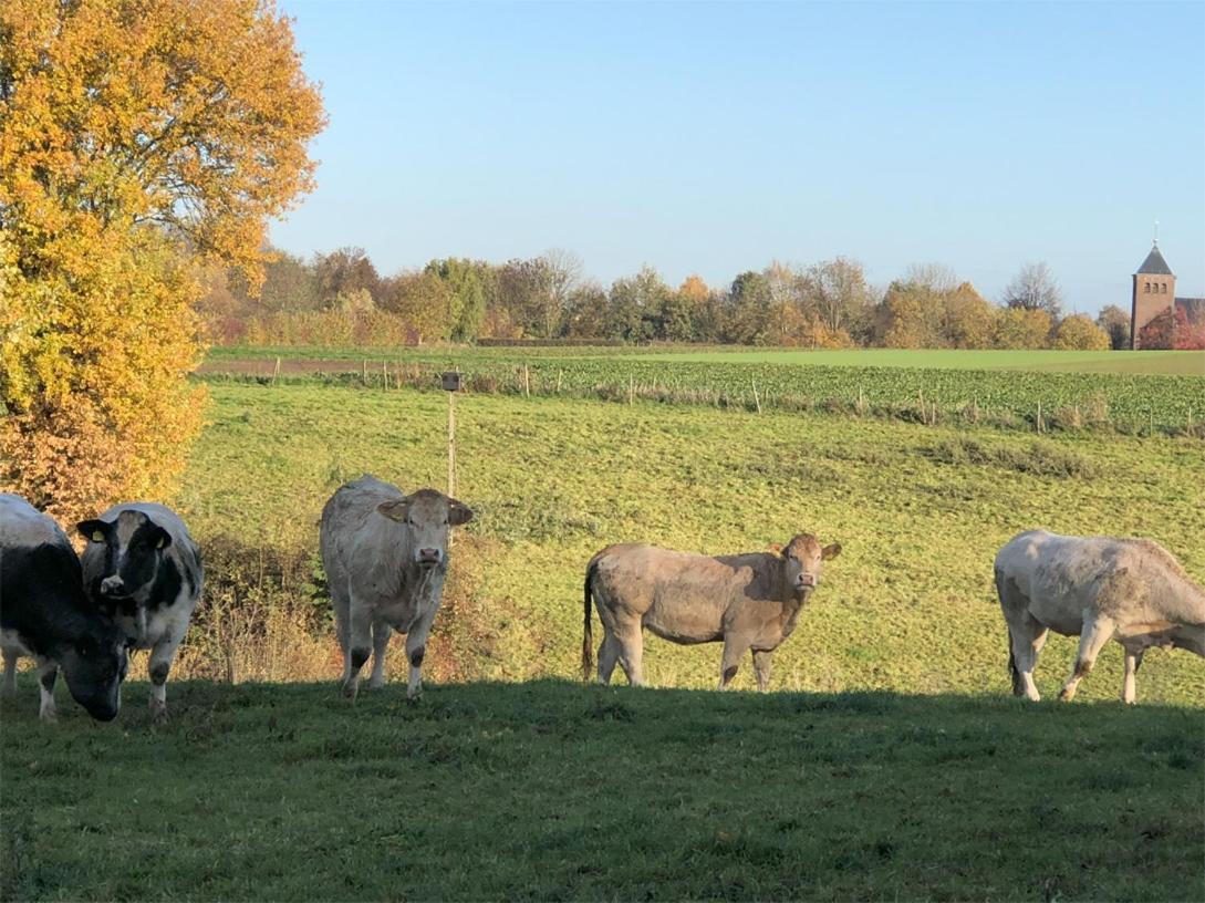 Leukderhuisje Villa Geulle Buitenkant foto